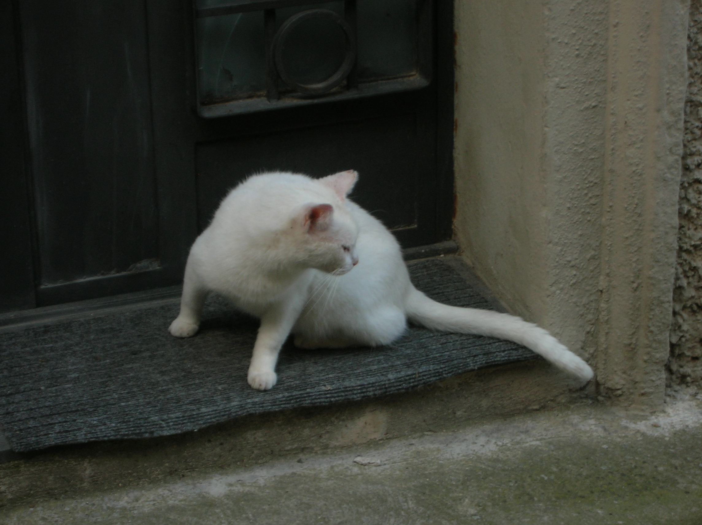 DSCN2192.jpg