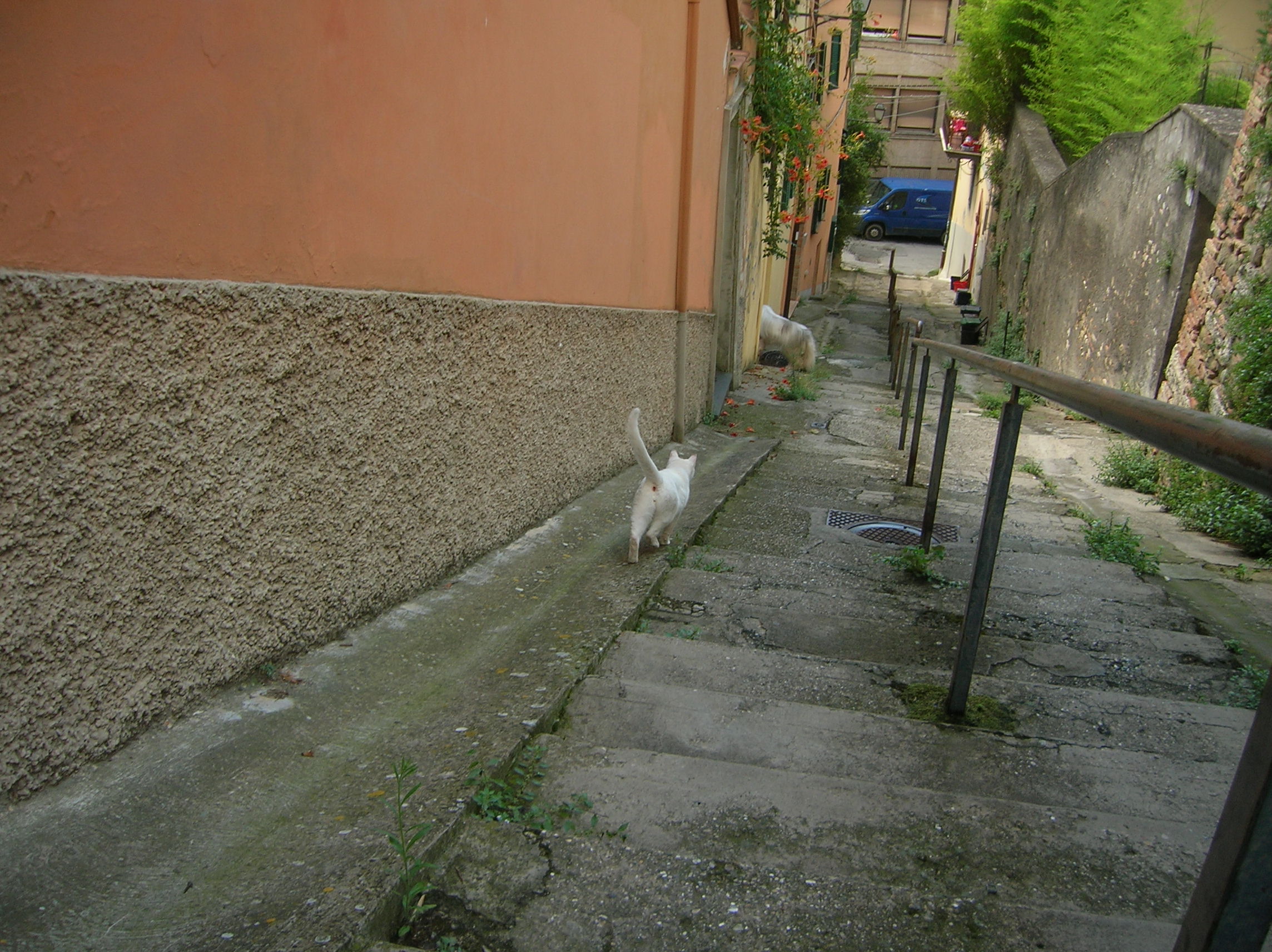 DSCN2196.jpg