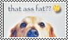 Template Stamp ezgif com add image 5