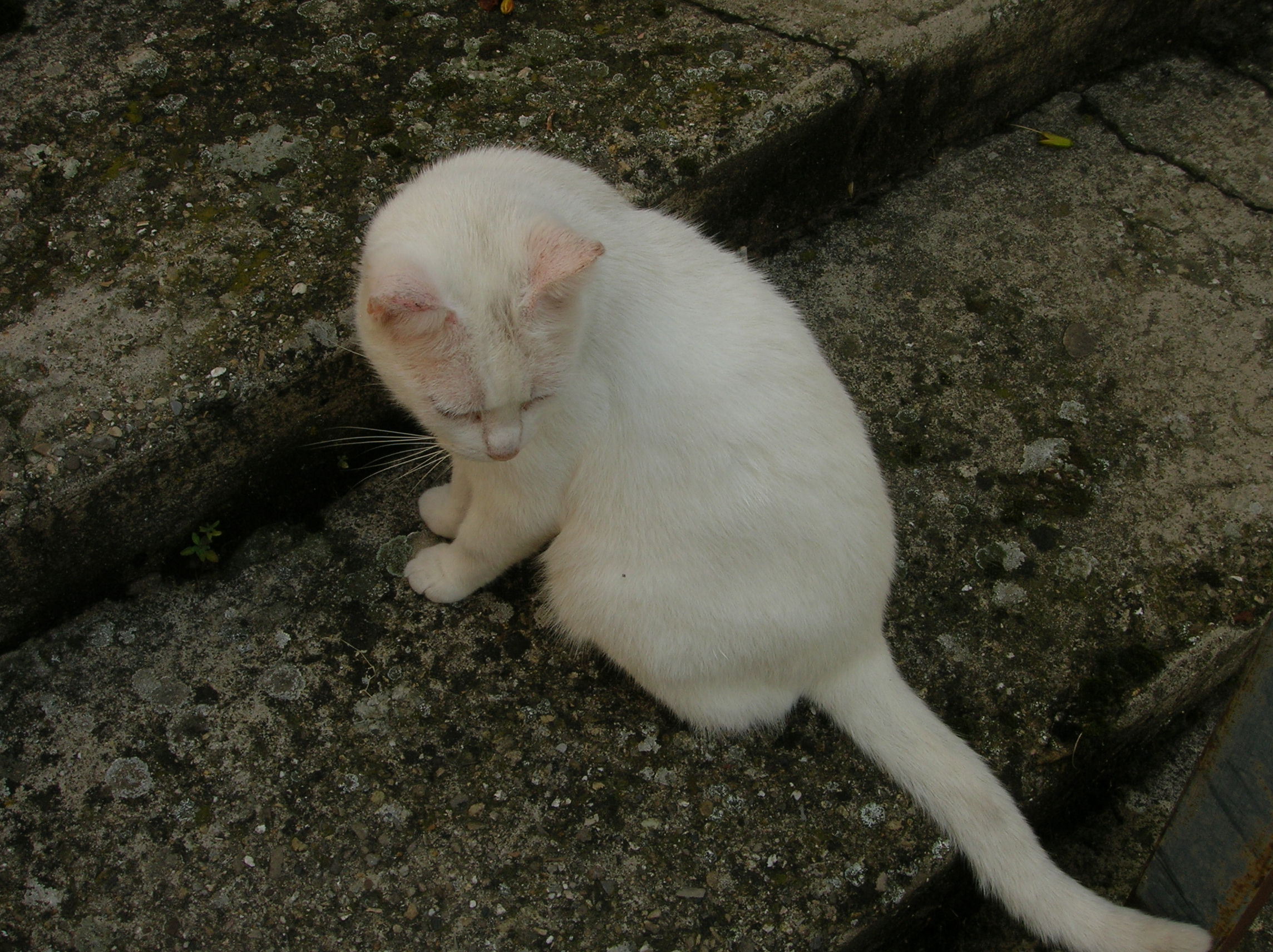 DSCN2176.jpg