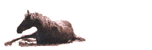 Tumblr l 142474352134556