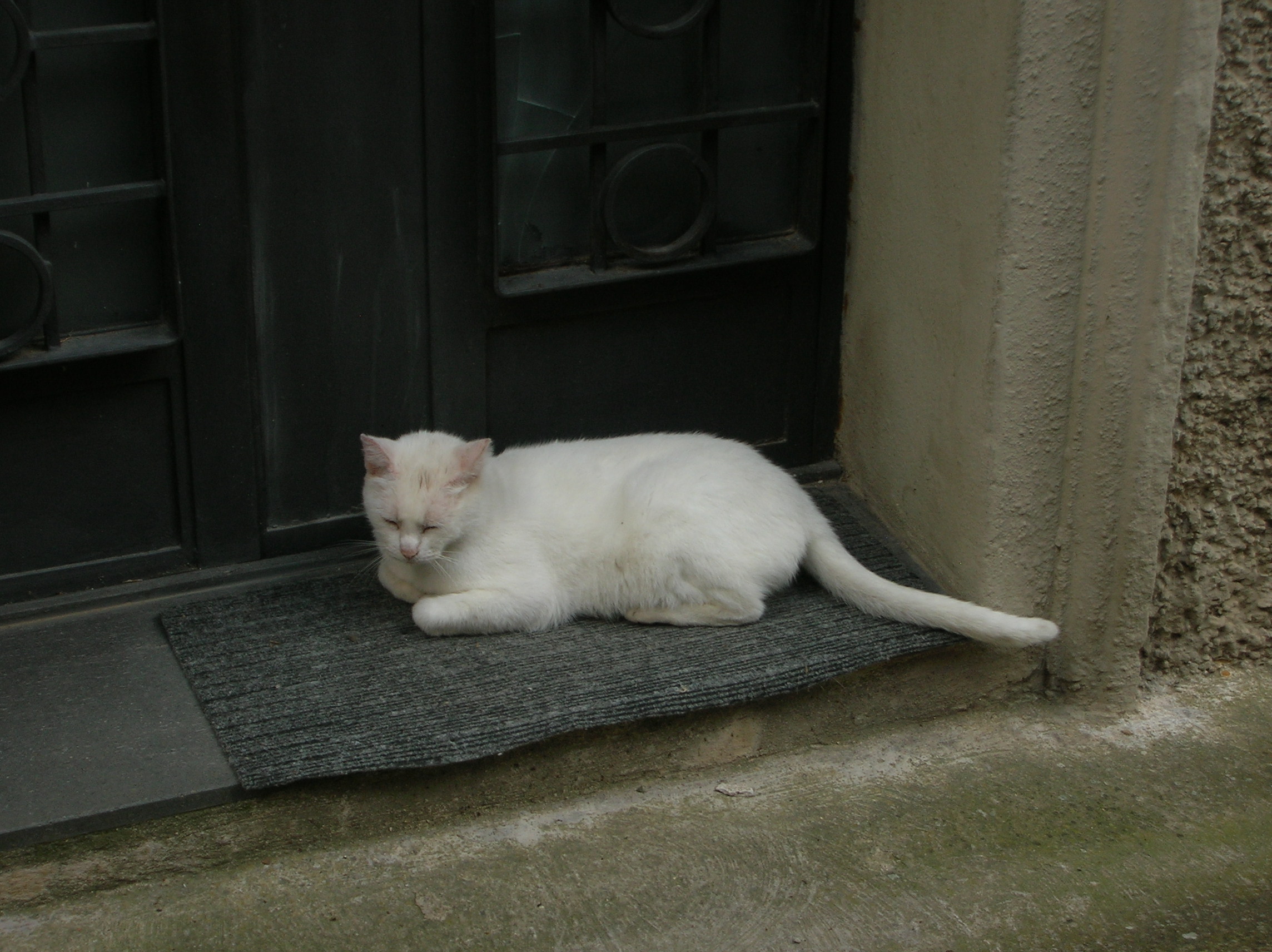 DSCN2188.jpg