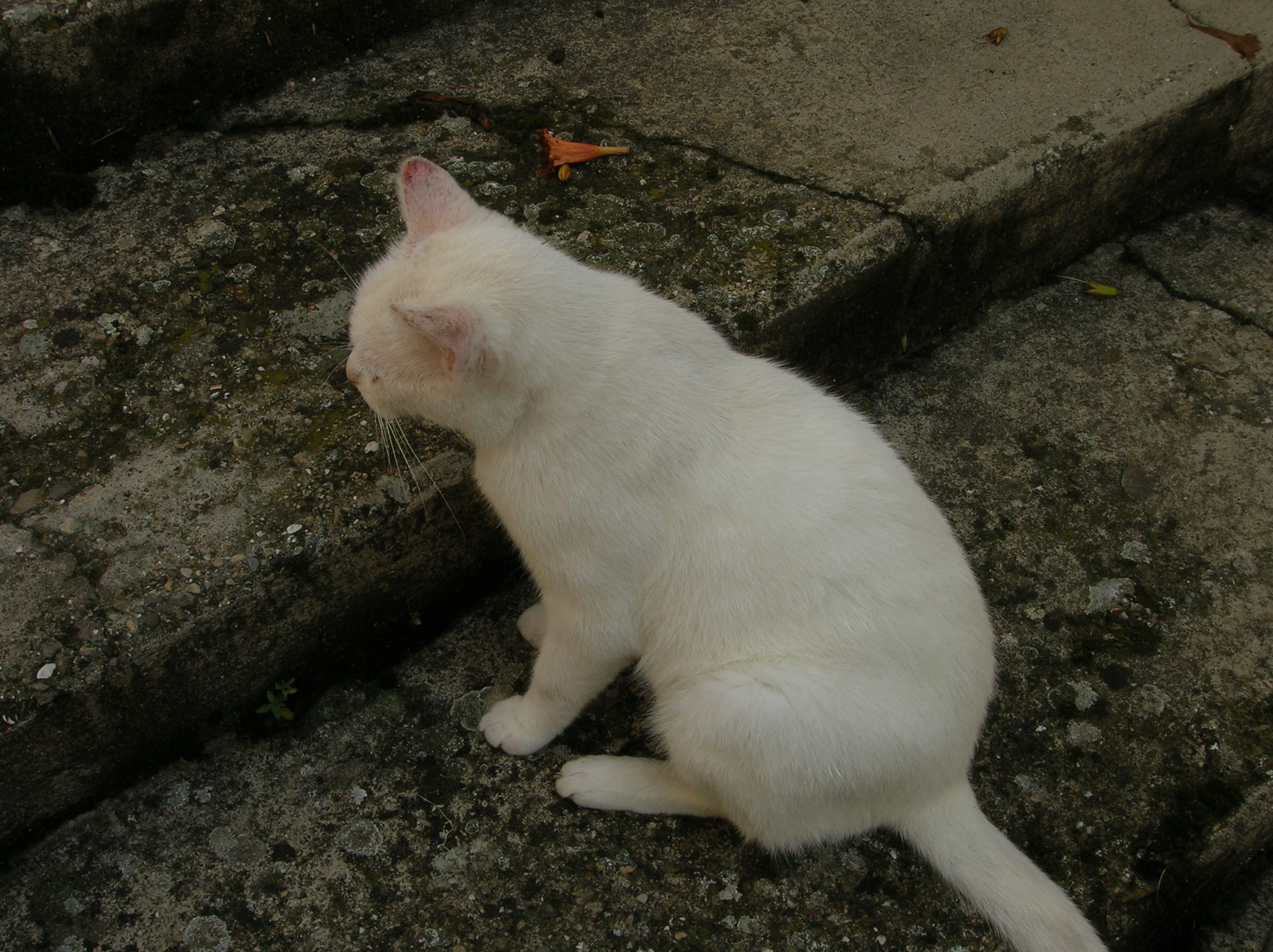 DSCN2177.jpg