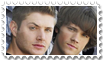 STAMP (308)