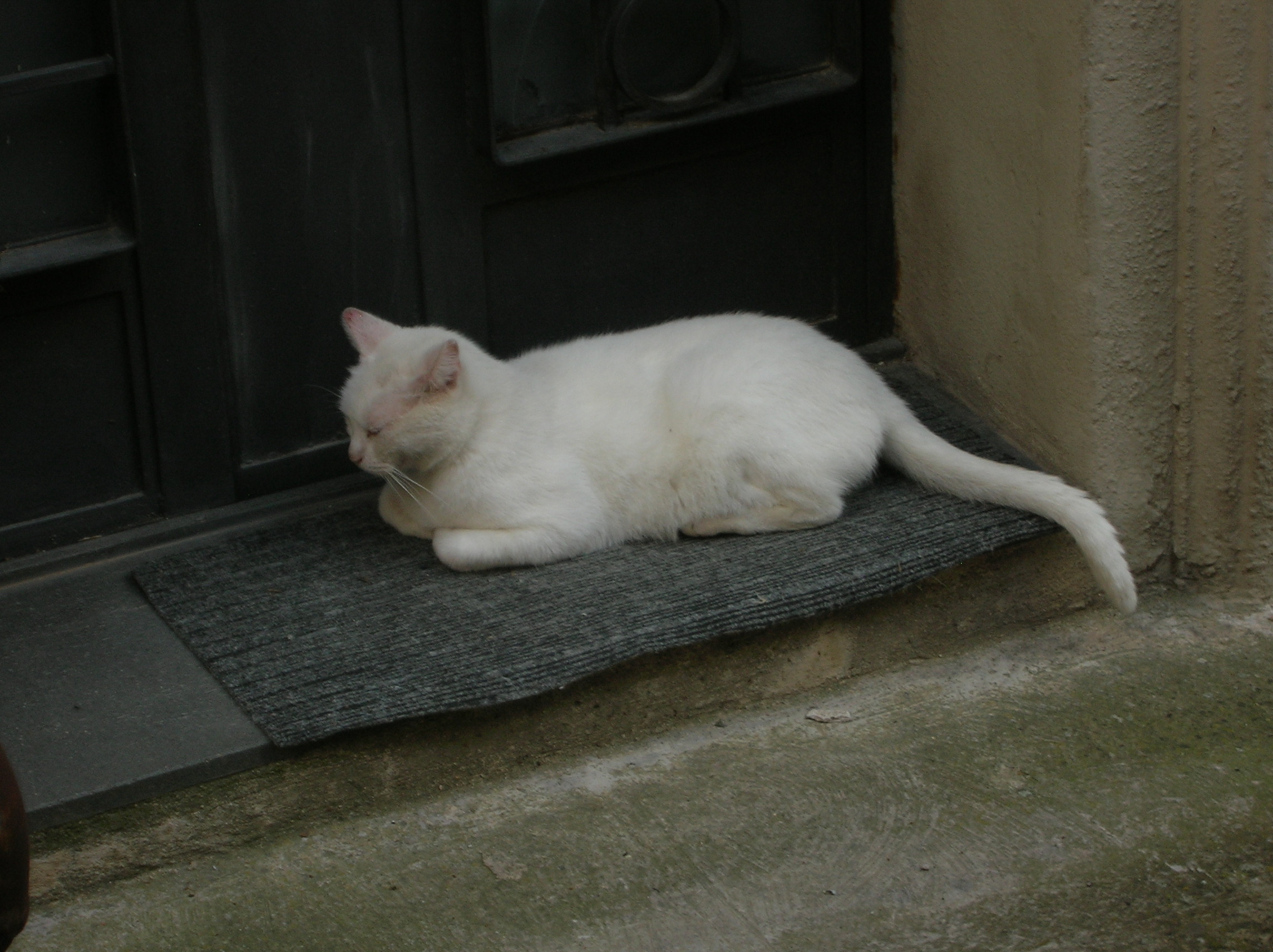 DSCN2189.jpg