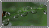 ladybug skedaddle stamp