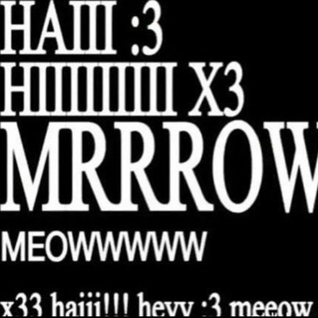 IMG-2233