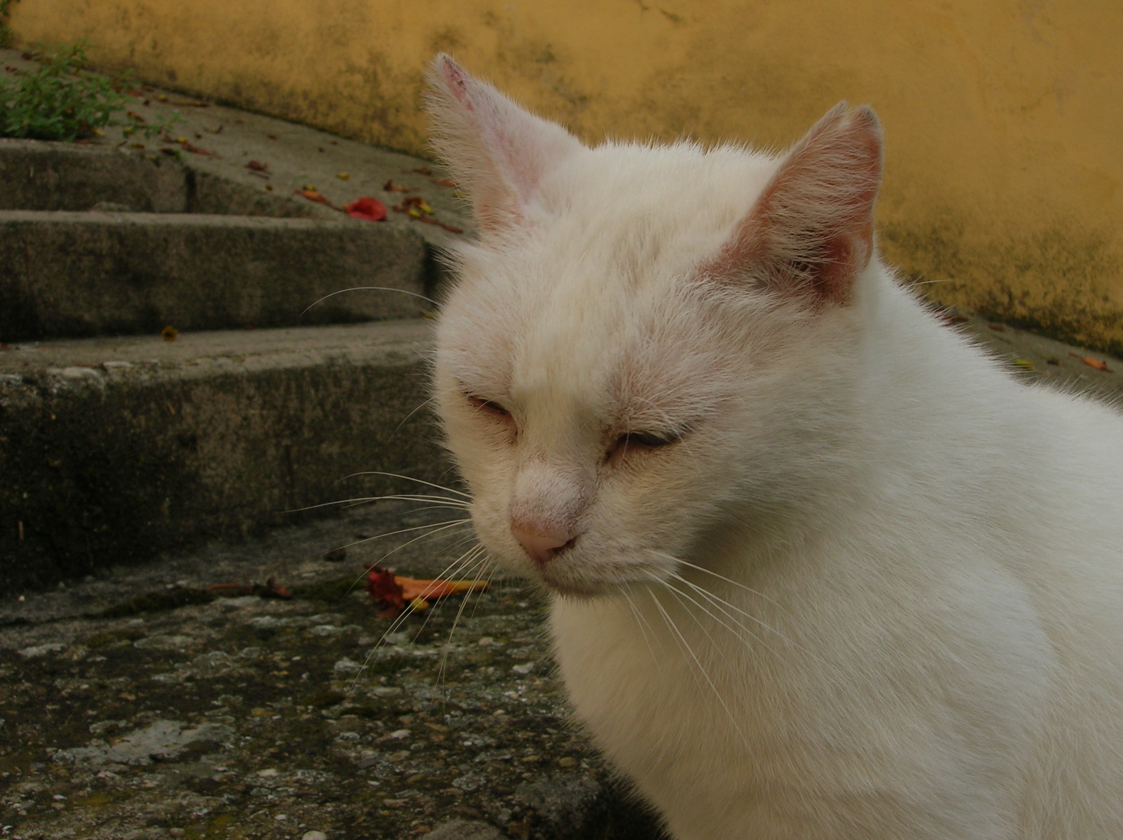 DSCN2174.jpg
