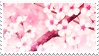 Tumblr l 305742352060146