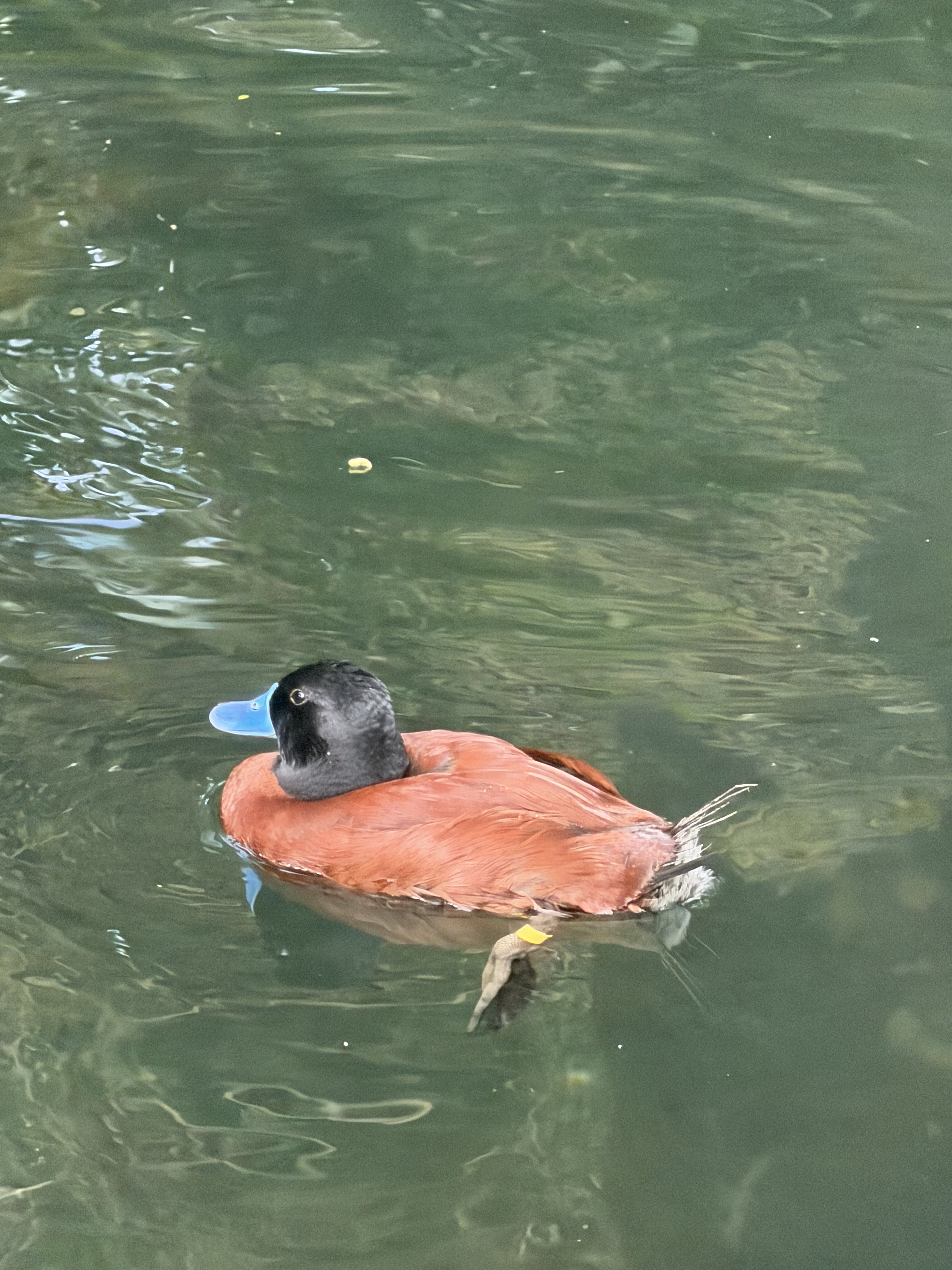 IMG 3957