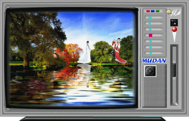 Watch Some TV!
