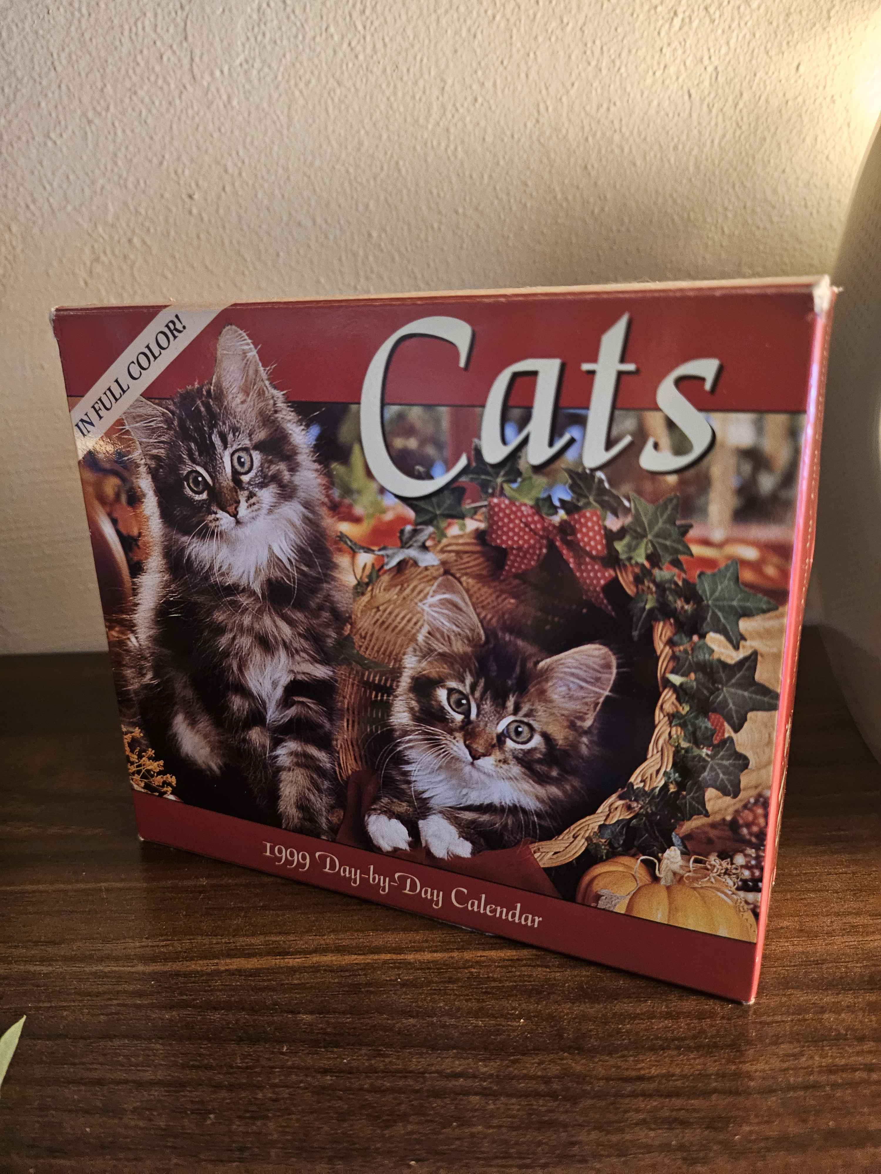 1999 page-a-day cat calendar