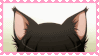 Tumblr l 306906333839908