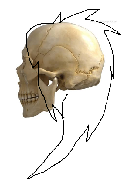 scene-kid-skull.png