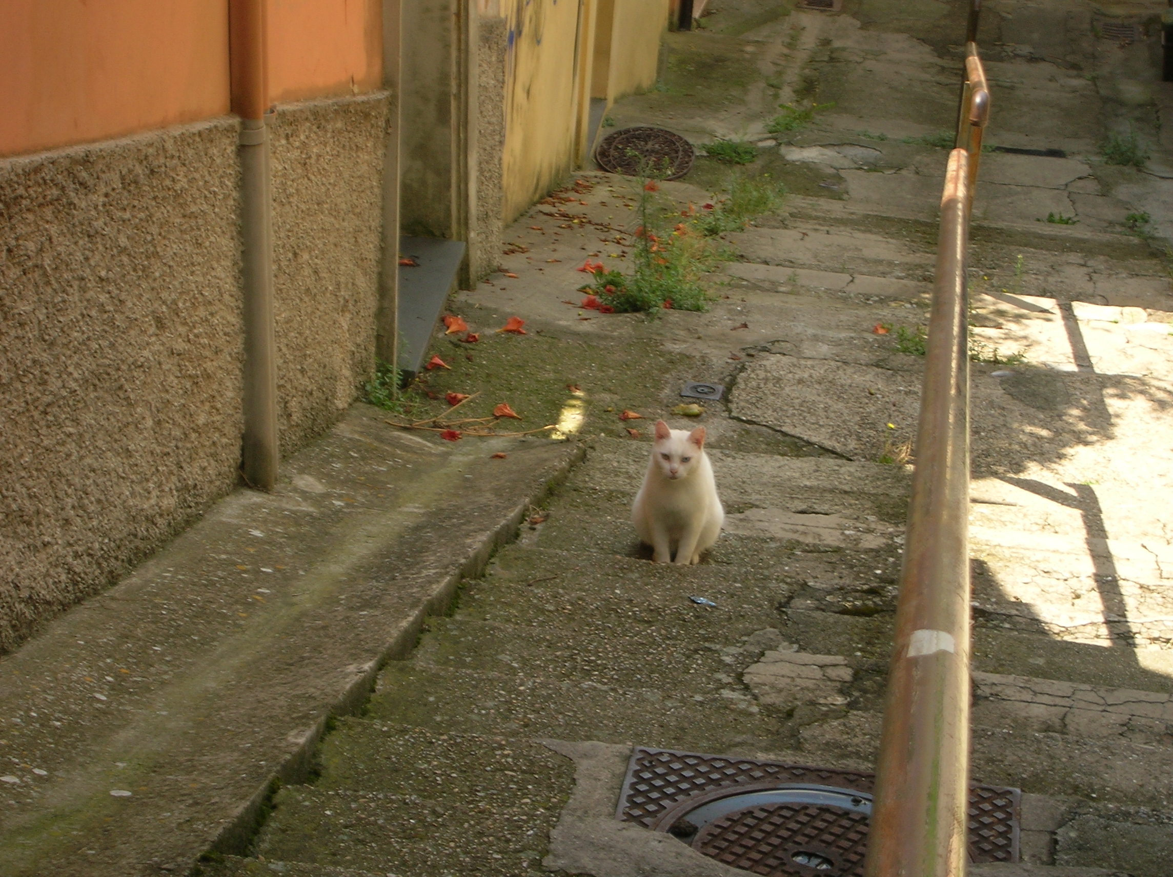 DSCN2180.jpg