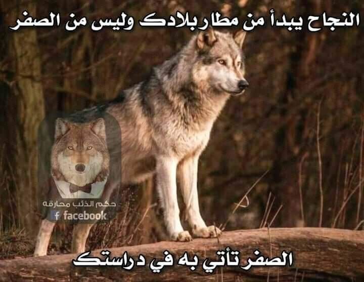 54c2726d324403936e2cb5fea050b4ab