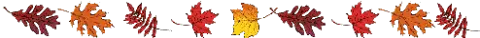 1682763o7bg0wr6lz