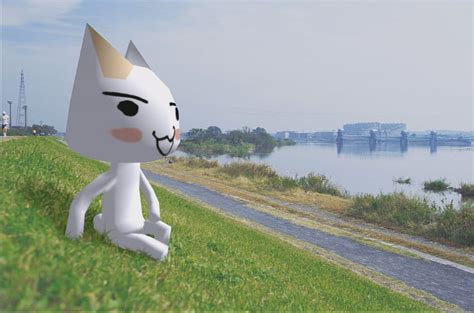 Toro Sit