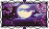 Tumblr l 32150710791067