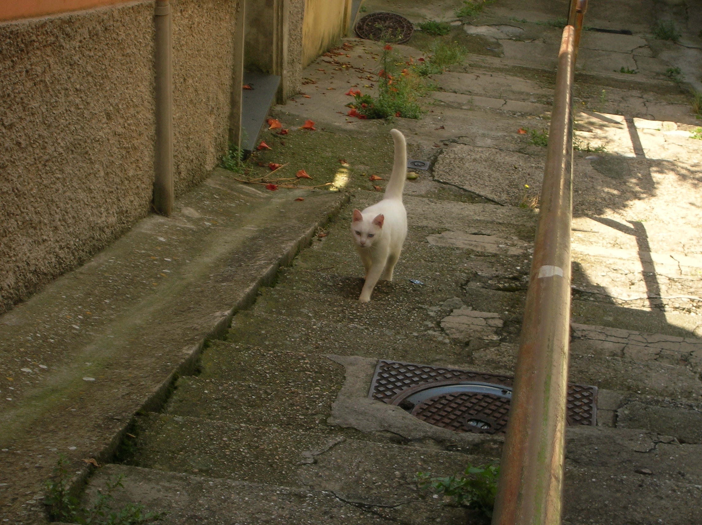DSCN2181.jpg