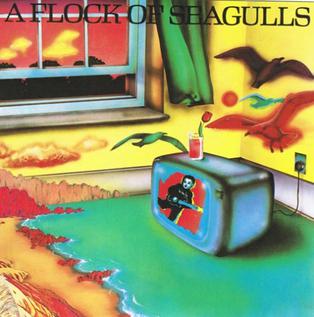 Debut Seagulls