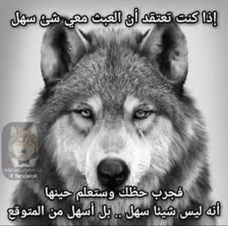 33d9357b78dc06eeb49ac99153ca51f1