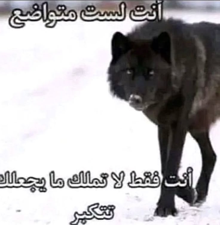 0a0634d2b7cce735eb6afcc26db8f7b5