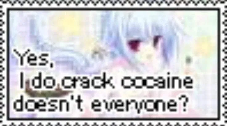 Yes-I-do-crack-cociane-Doesn-t-everyone