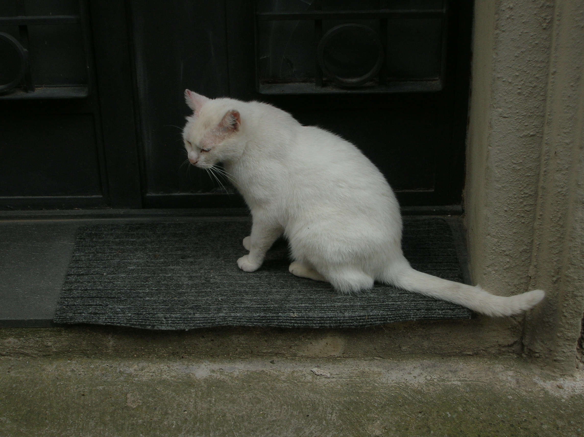 DSCN2186.jpg