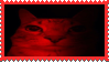 tumblr cat