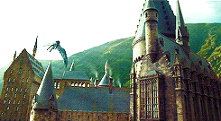 Harry Potter Hp