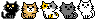 cats line