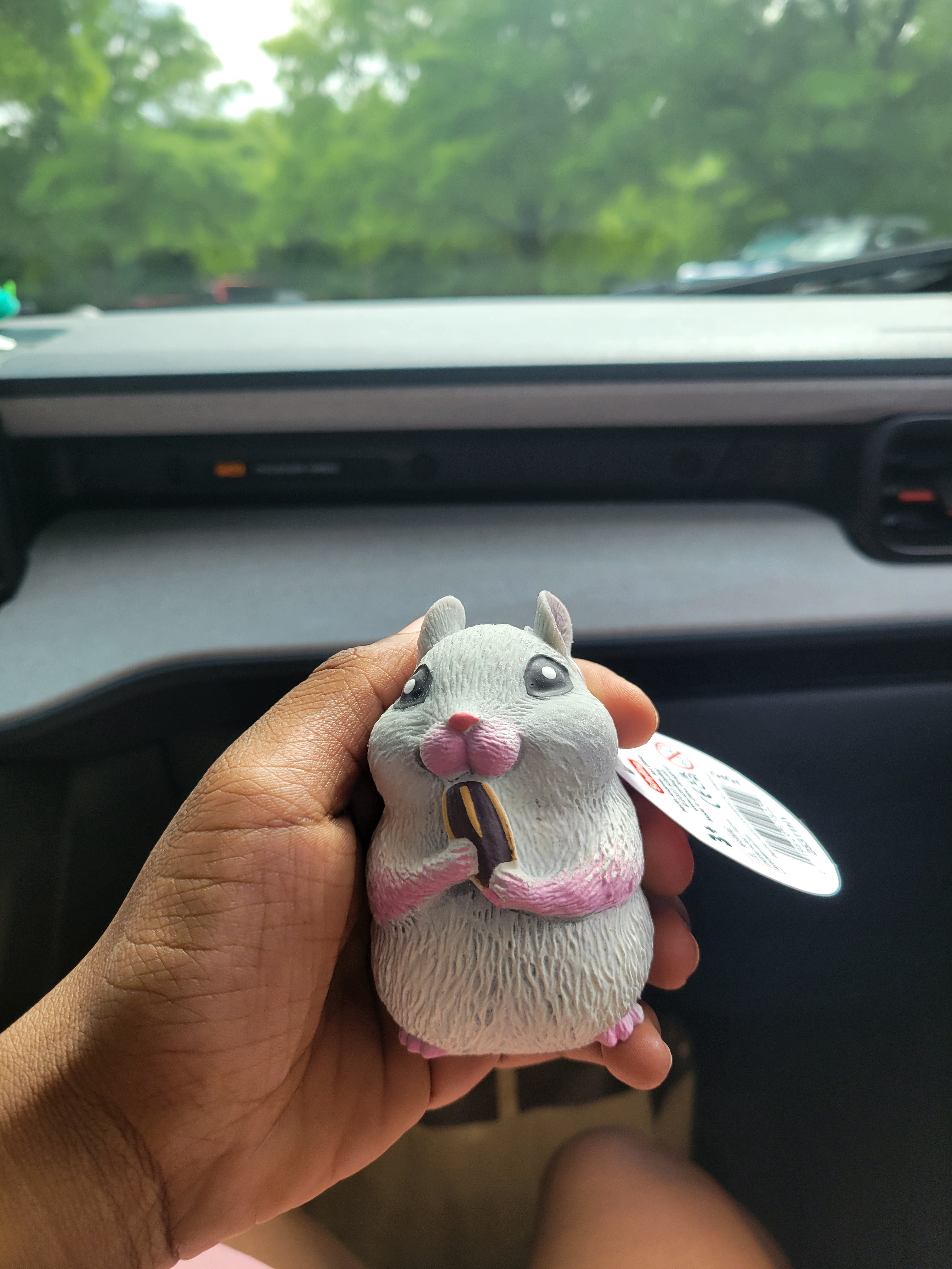 Hamster