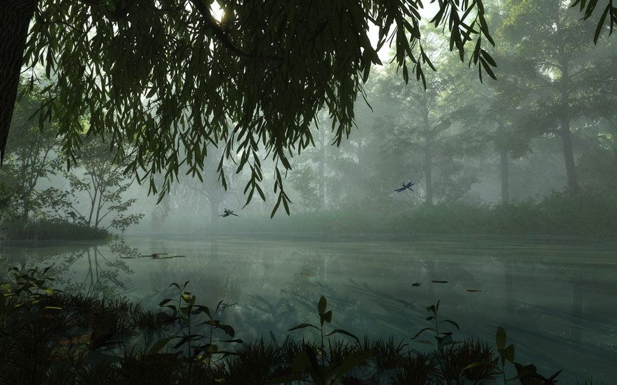 The Stillness I Fear
