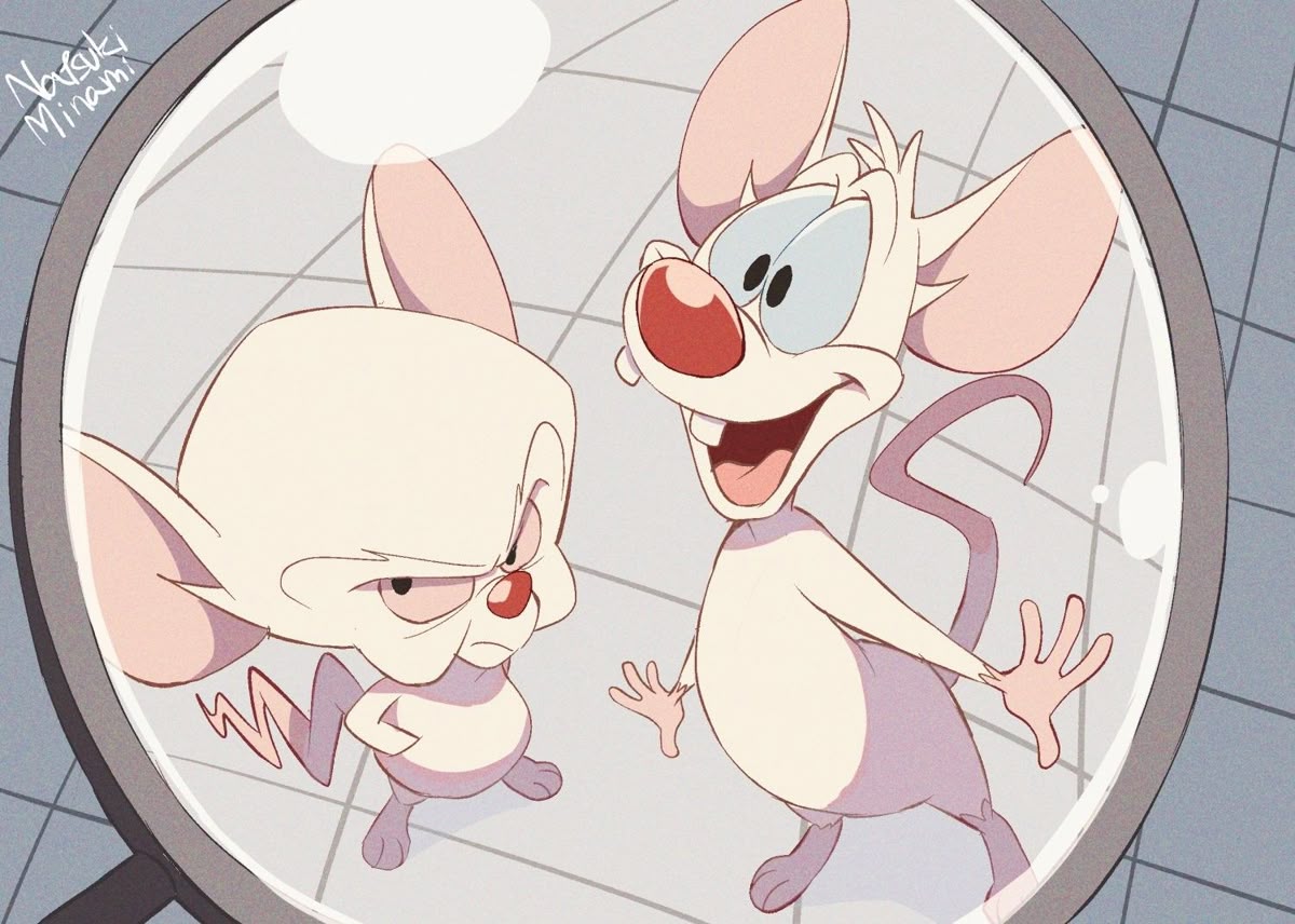 Pinky and the Brain