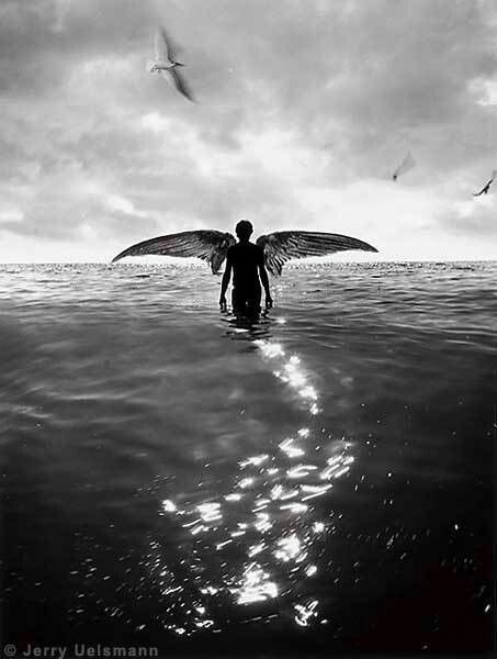 Fallen angel, jerry uelsmann