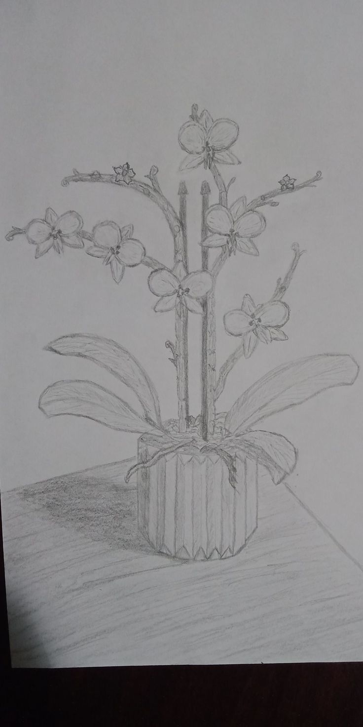 Lego Flowers Drawing