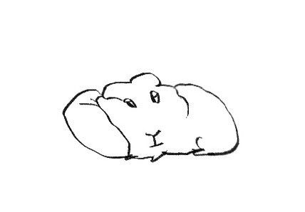 hampster
