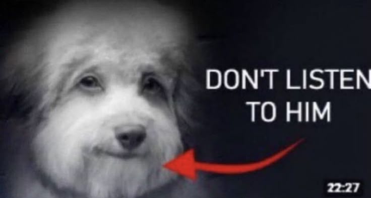 This may contain: a dog with a red arrow pointing to it's left side and the words don't listen to him