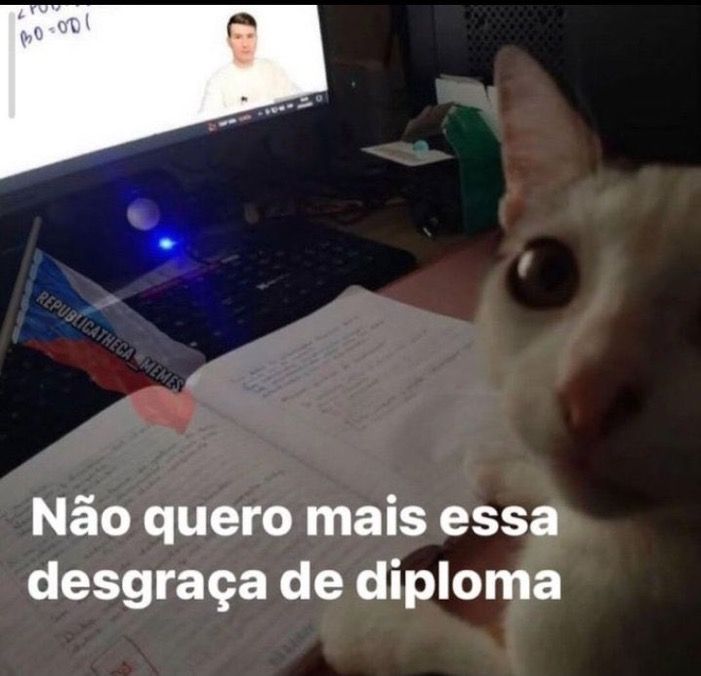 634d01c654865c397b615caaf2ff6bf8.jpg
