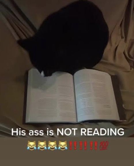 oh lord