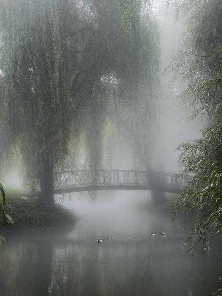 The Stillness I Fear