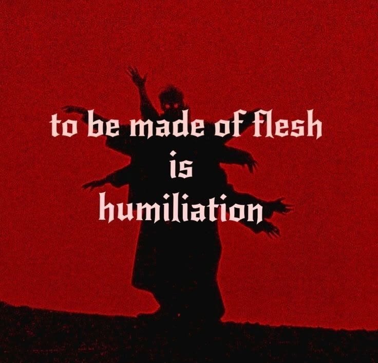 8cc0c89f399c9c3f9e995fdf9c94825f.jpg