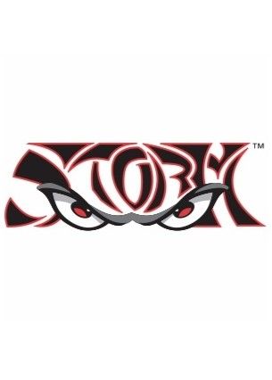 Lake Elsinore Storm Baseball Club