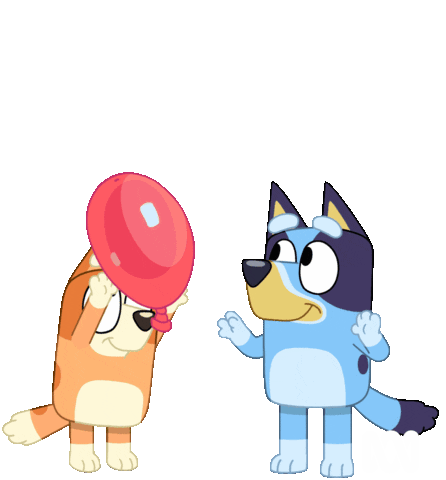 Bluey / Bingo