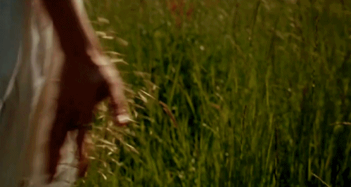 2cde423fa446bb88d3475fcdf3370077.gif