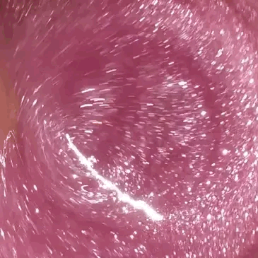 8989a4d64ef6dfc6c3ae0360d23c9eb0.gif