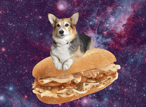 This may contain: a dog sitting on top of a giant sandwich in the middle of space with stars