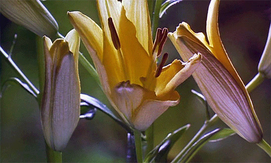 9d77f6b31ad216b7256004f229a8b778.gif