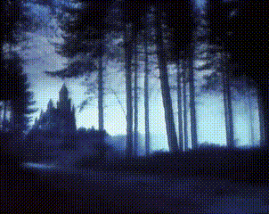 dark blue forest